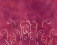 Purple Swirls -...
