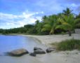 The Swim Beach