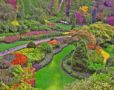 GARDEN - Butcha...