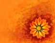 SUNFLOWER - Har...