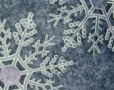 WINTER - Winter...