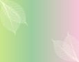 Pink Green Yell...