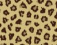 Jaguar Fur