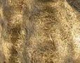 straw