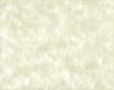 Parchment Paper...