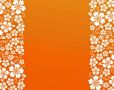 ALOHA - Tropica...