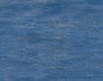 Dark Blue Waves...