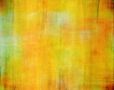Golden Stripes ...