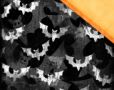 Batty Night - B...