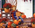 AUTUMN - Scarec...