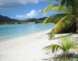 Tropical Beach