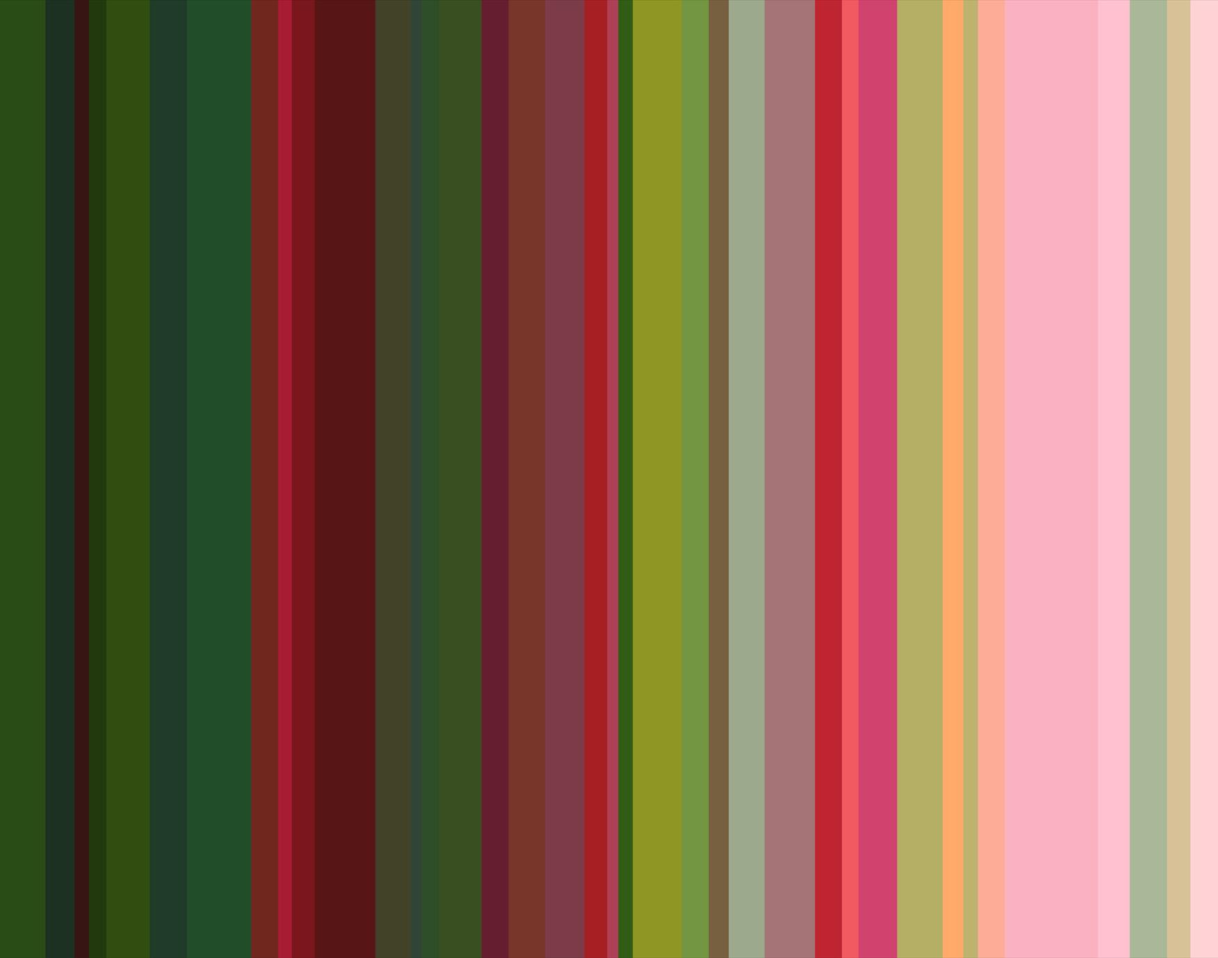 zebra border paper zebra border paper
